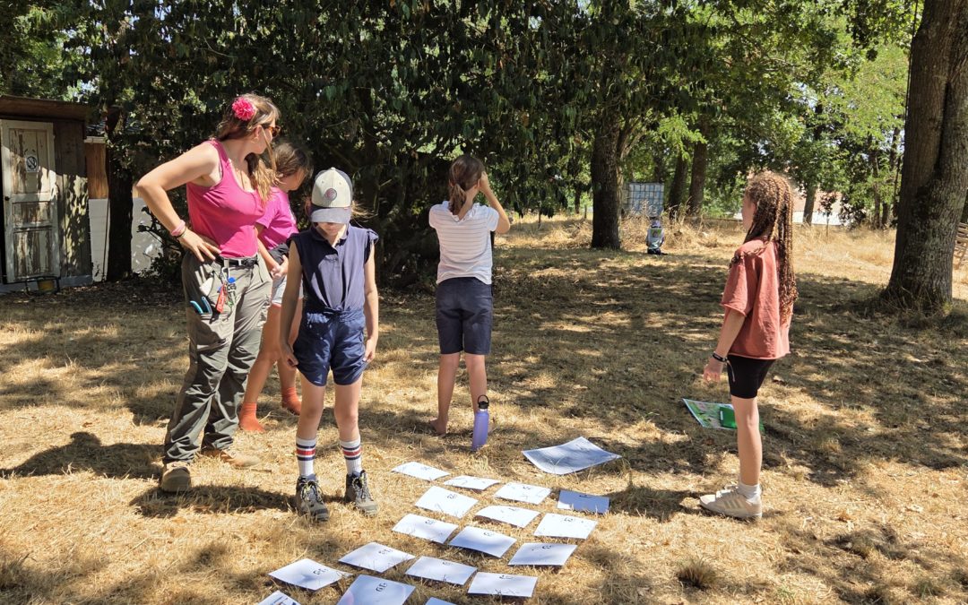 Stage Nature (7-13 ans) : rendez-vous du 21 au 23 octobre🔥